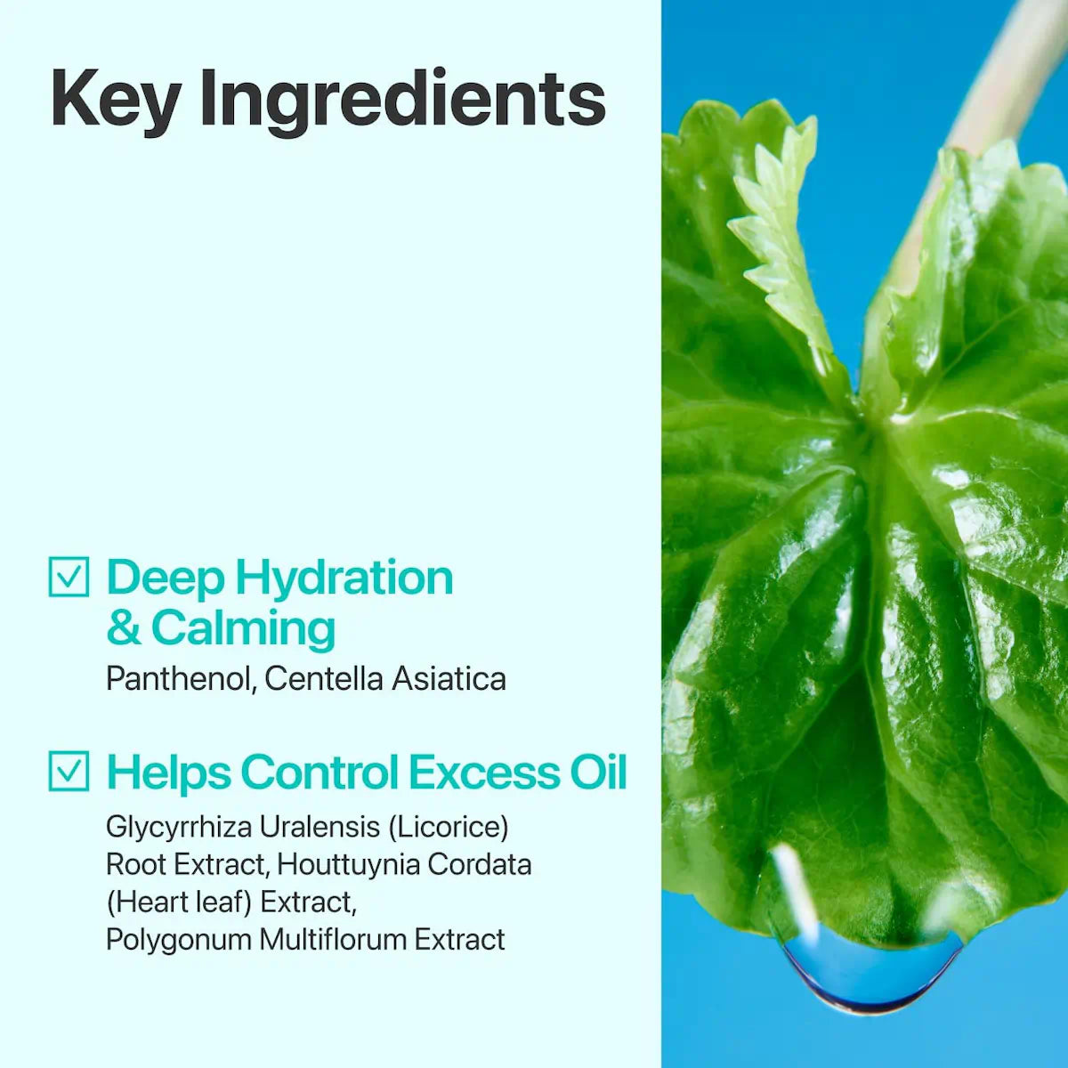 Numbuzin No.1 Pure-Full Calming Herb Toner - 100ml