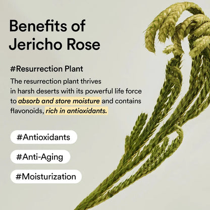 Abib Collagen Eye Crème Jericho Rose Tube – Jericho Rose Revives Dull, Tired Skin