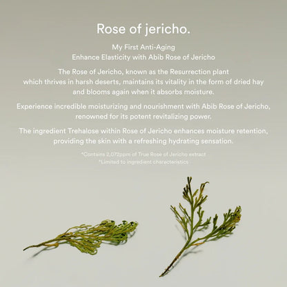 Abib Jericho Rose Bifida Serum Firming Drop – Probiotic Bifida Strengthens the Skin Barrier