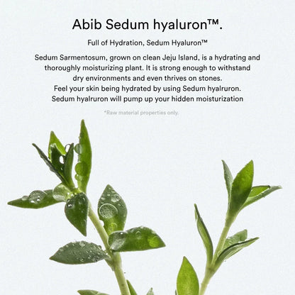 Abib Sedum Hyaluron Crème Hydrating Pot – Rich, Creamy Texture for Lasting Hydration