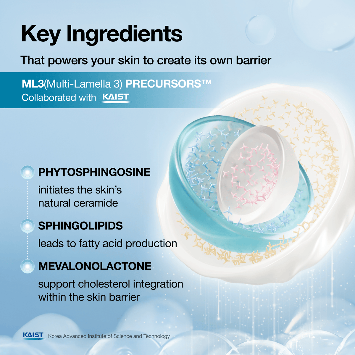 Anua Barrier Reboot Intensive Cream benefits