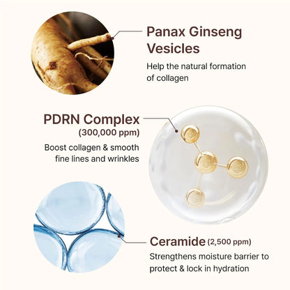 Apply Centellian 24 PDRN Firming Boosting Ampoule after toner and before moisturiser