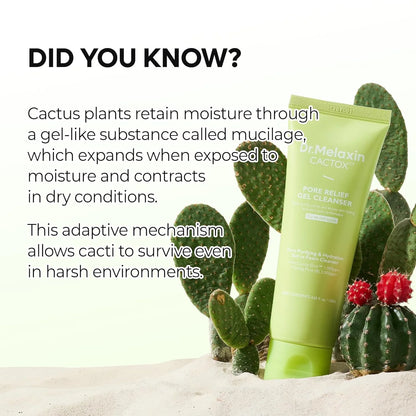 Dr.Melaxin Cactox Pore Relief Gel Cleanser — cactus extract formula