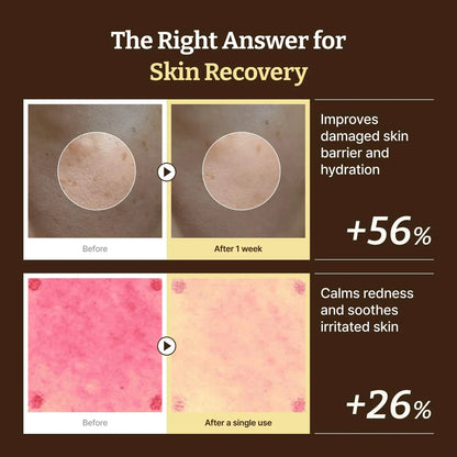 Dr.Reju-All Advanced PDRN Rejuvenating Cream rich rejuvenating texture