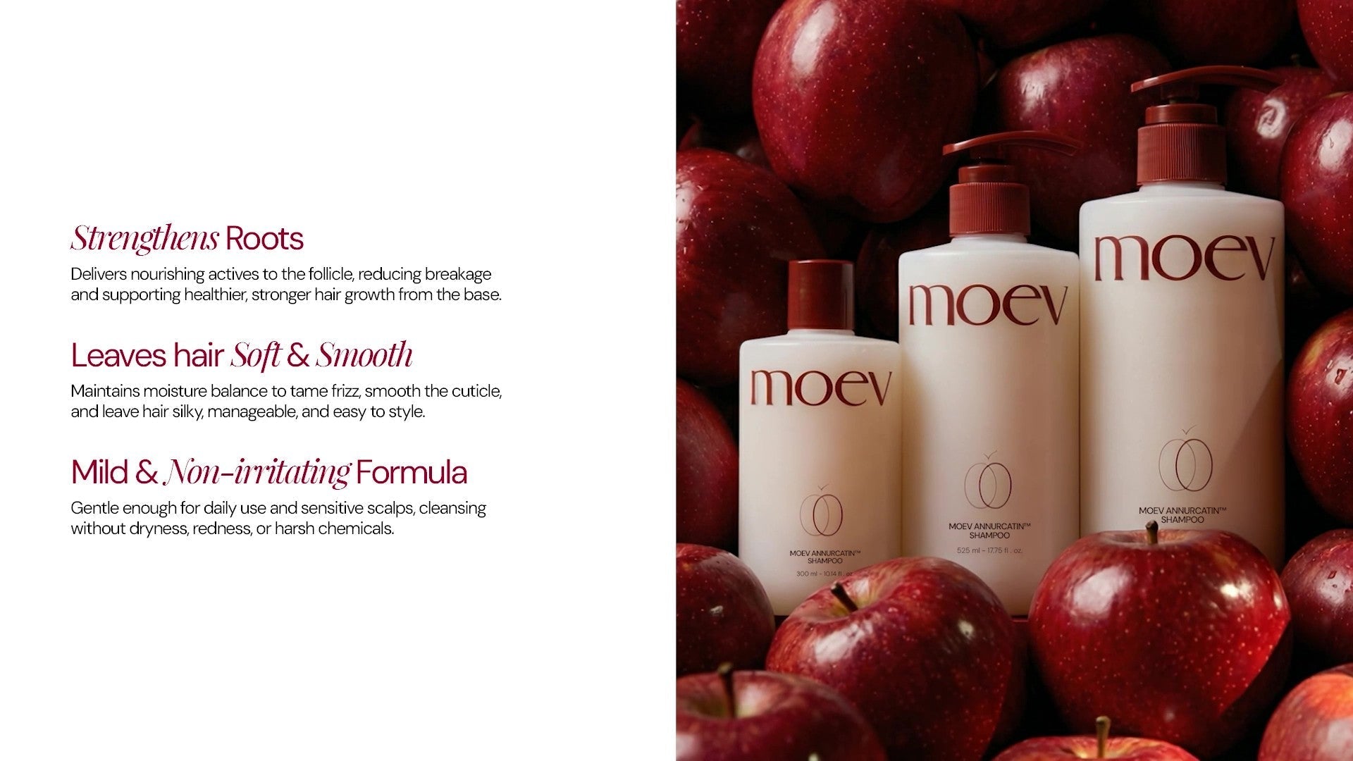 Moev Annurcatin Shampoo benefits for scalp and hair