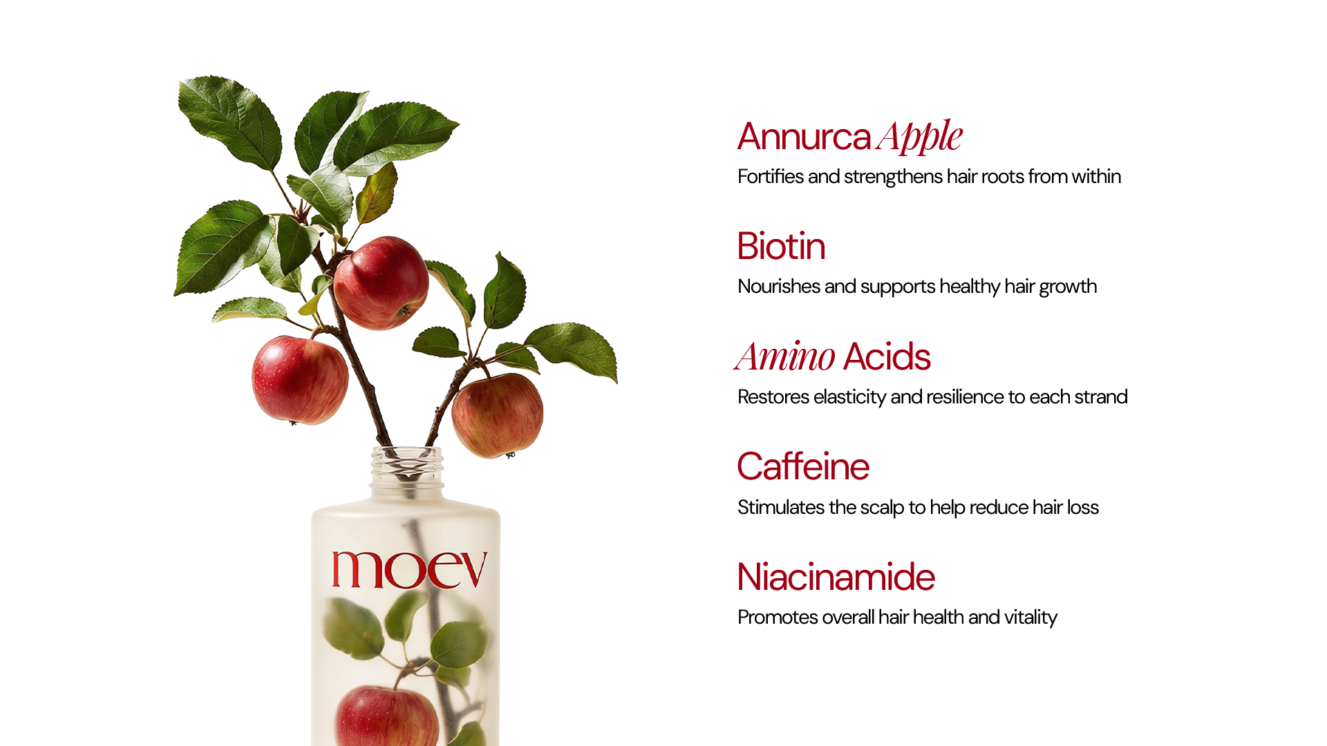 Moev Annurcatin Shampoo key ingredients: Annurca apple, biotin, caffeine and niacinamide